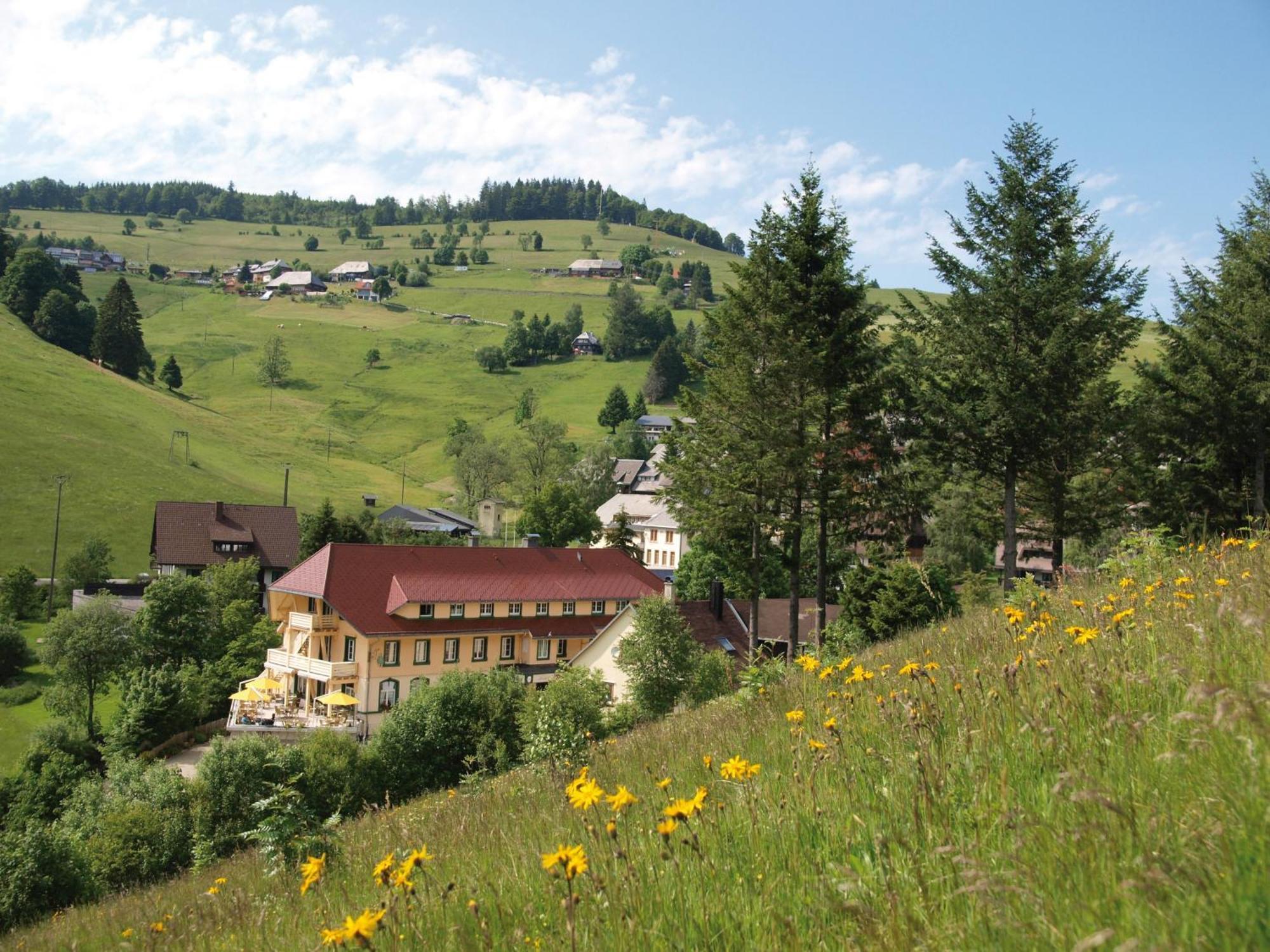 Gruener Baum Naturparkhotel & Schwarzwald-Restaurant Тодтнау Экстерьер фото
