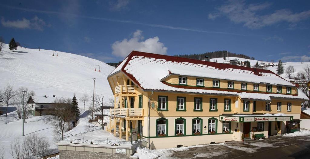 Gruener Baum Naturparkhotel & Schwarzwald-Restaurant Тодтнау Экстерьер фото